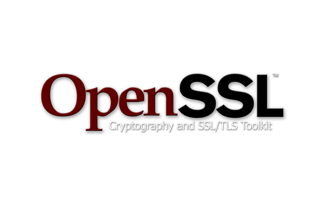 OpenSSL parchea dos vulnerabilidades de alta gravedad