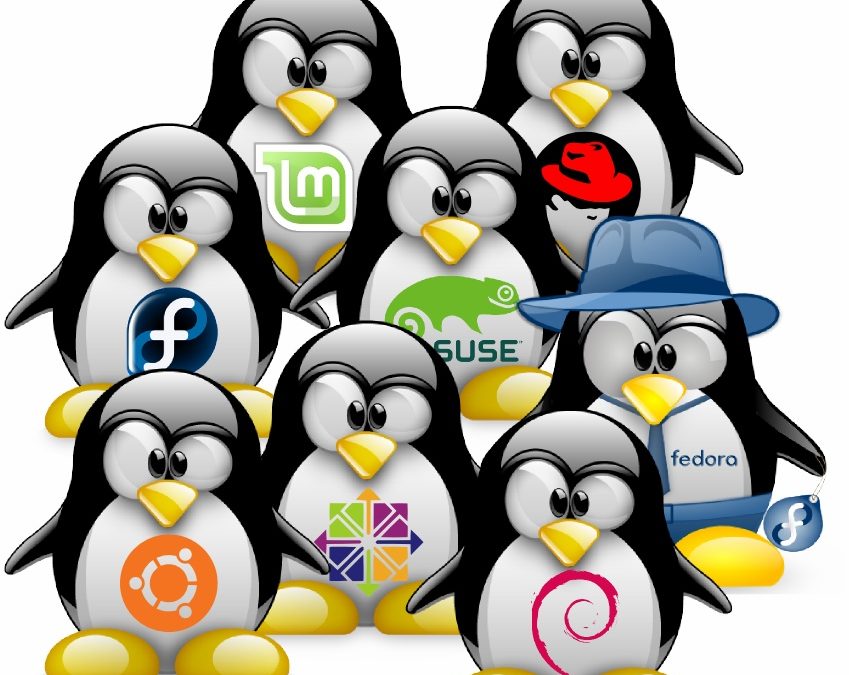 Linux – Comprimir carpeta o archivos desde consola